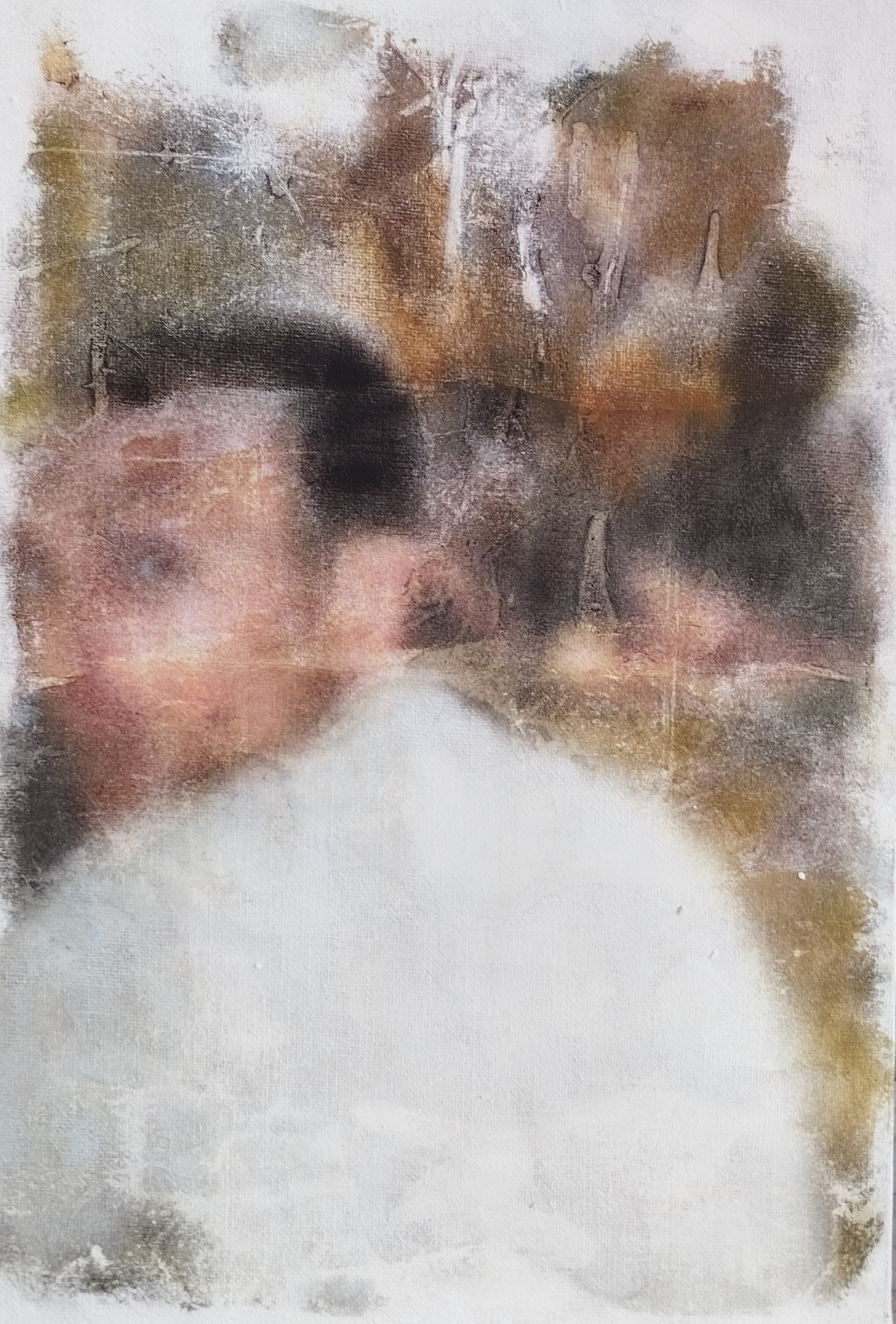 S.T. 2, 2024