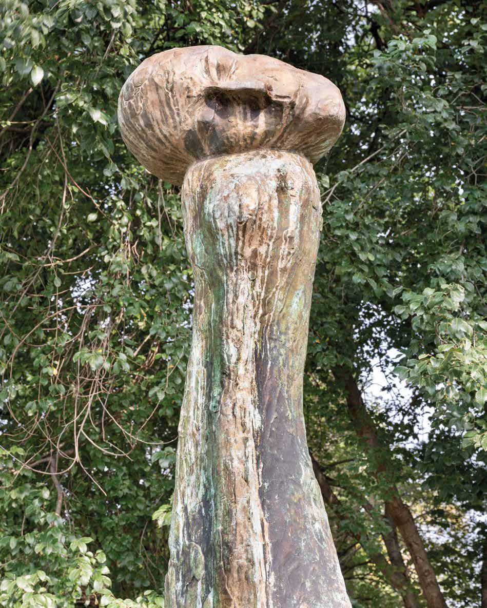 Tempio, 2013