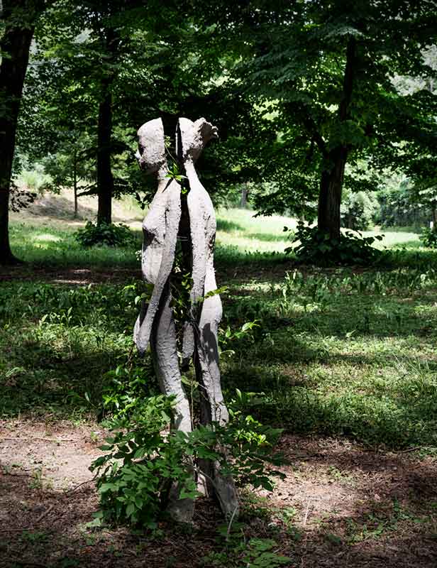 Forza Vitale Donna, 2016