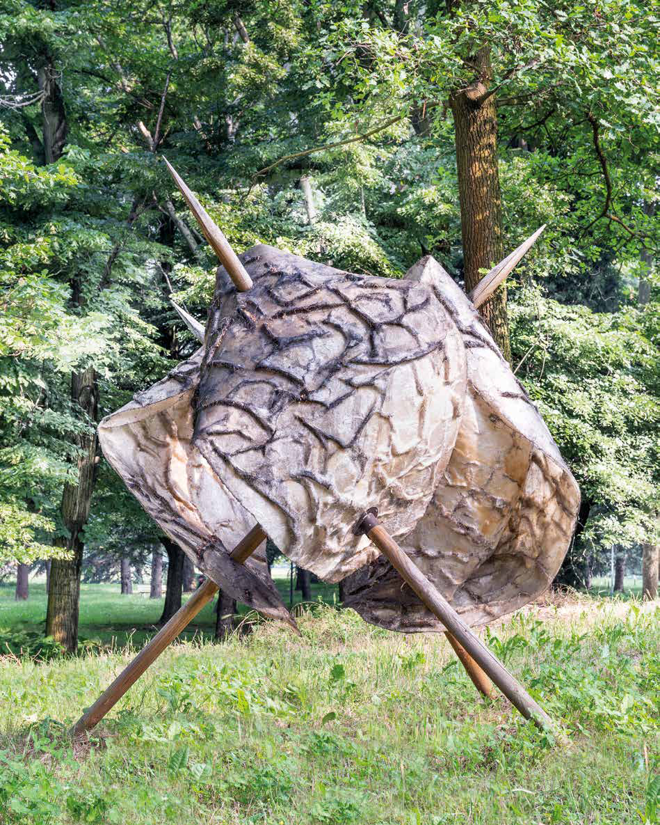 Mater Matuta, 2015